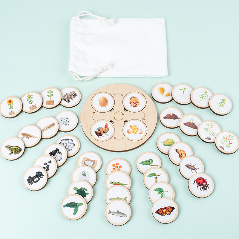 Kids Nature Education - Papan sepeda hidup Kit Montessori, pendidikan