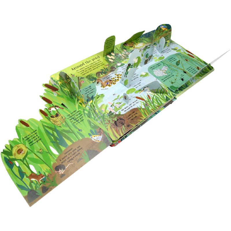 Bahasa Inggris Montessori 3D U - Kids Nature Education ulasan dan harga