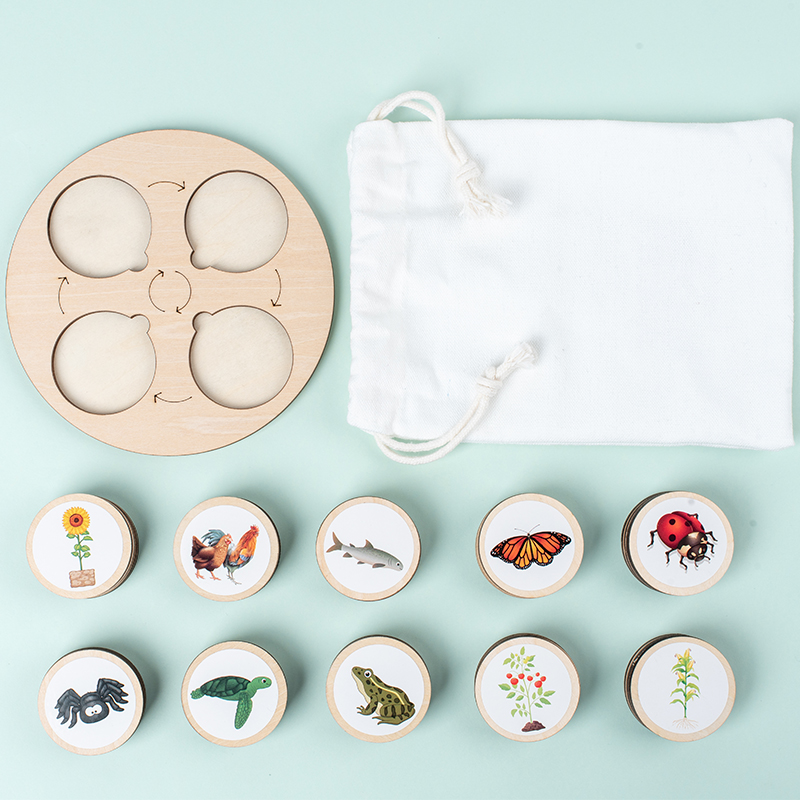 Papan sepeda hidup Kit Montess - Kids Nature Education ulasan dan harga