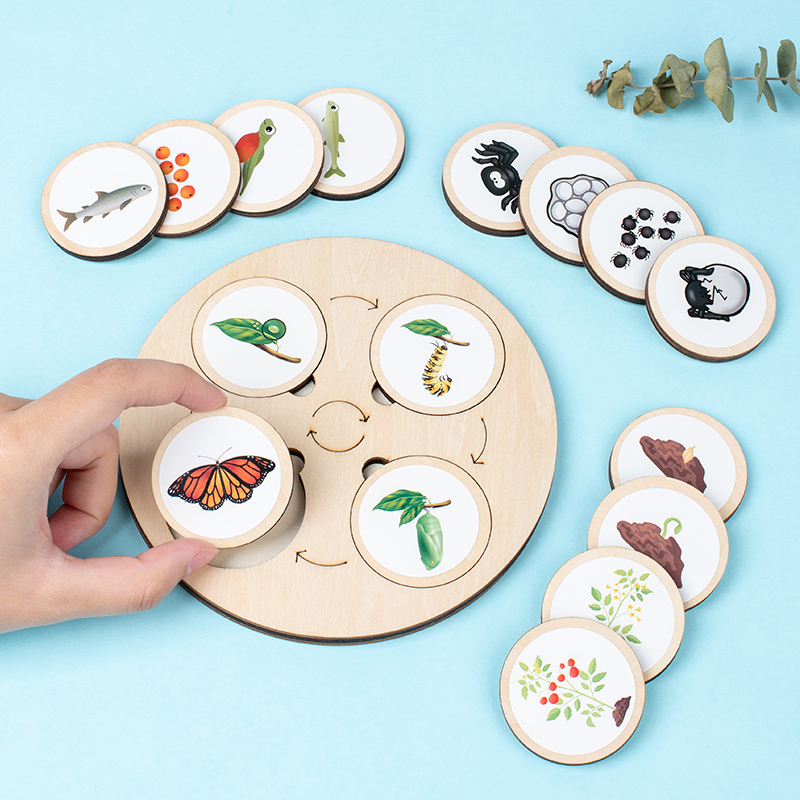 Papan sepeda hidup Kit Montess - Kids Nature Education ulasan dan harga