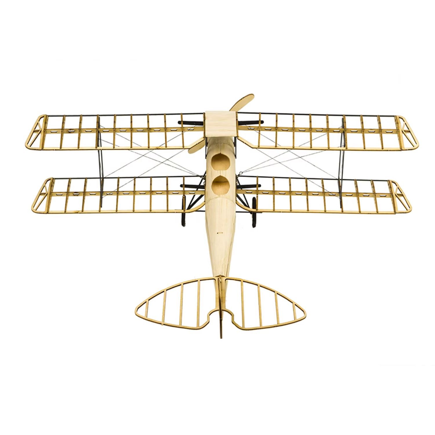 RealHawk Tiger Ngengat DH-82 K - Kids Education Classes ulasan dan harga